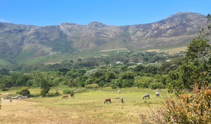 To Let 3 Bedroom Property for Rent in Chapman